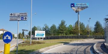 West Nile, donna ricoverata a Chieti punta da zanzara autoctona